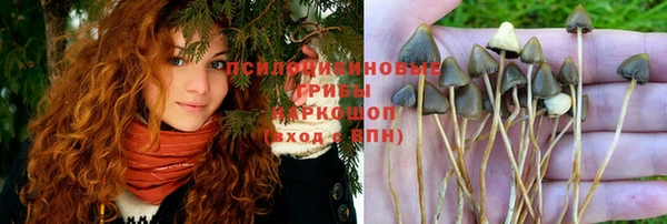 круглые Алексин