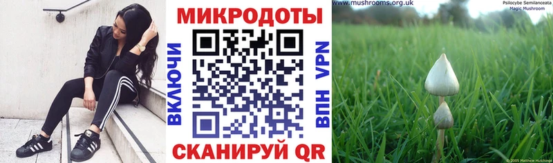 цена наркотик  Петровск-Забайкальский  Галлюциногенные грибы Psilocybe 